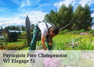 Paysagiste  fere-champenoise-51230 WJ Elagage 51 