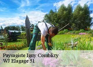 Paysagiste  igny-comblizy-51700 WJ Elagage 51 