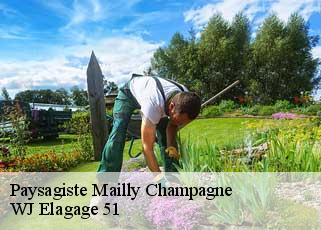 Paysagiste  mailly-champagne-51500 WJ Elagage 51 