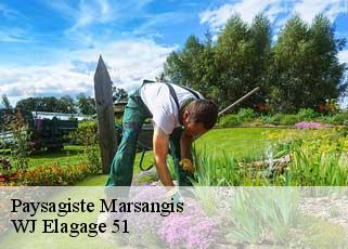 Paysagiste marsangis-51260 Artisan MEINHARD, Paysagiste 51