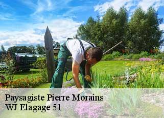 Paysagiste  pierre-morains-51130 WJ Elagage 51 