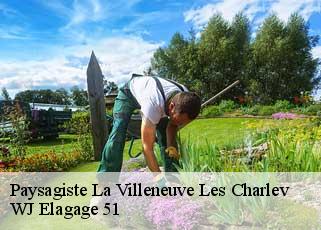 Paysagiste  la-villeneuve-les-charlev-51120 WJ Elagage 51 