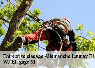 Entreprise élagage  allemanche-launay-et-soyer-51260 WJ Elagage 51 