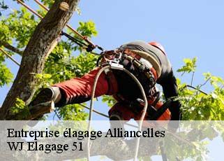 Entreprise élagage  alliancelles-51250 WJ Elagage 51 