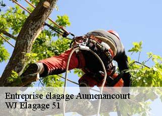 Entreprise élagage  aumenancourt-51110 WJ Elagage 51 