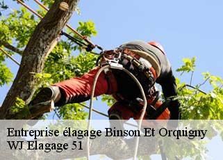 Entreprise élagage  binson-et-orquigny-51700 WJ Elagage 51 