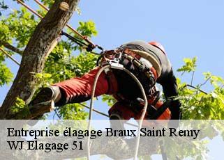 Entreprise élagage  braux-saint-remy-51800 WJ Elagage 51 