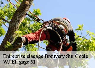 Entreprise élagage  breuvery-sur-coole-51240 WJ Elagage 51 
