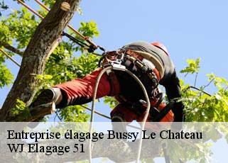 Entreprise élagage  bussy-le-chateau-51600 WJ Elagage 51 