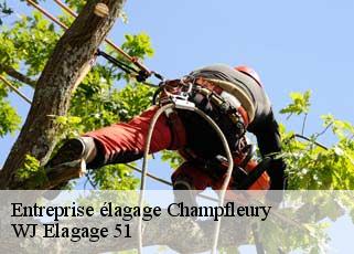 Entreprise élagage  champfleury-51500 WJ Elagage 51 