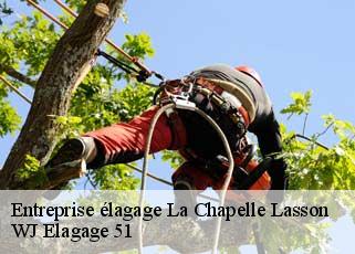 Entreprise élagage  la-chapelle-lasson-51260 WJ Elagage 51 