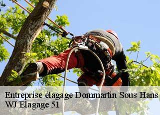 Entreprise élagage dommartin-sous-hans-51800 WJ Elagage 51