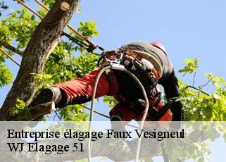 Entreprise élagage  faux-vesigneul-51320 WJ Elagage 51 