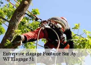 Entreprise élagage  fontaine-sur-ay-51160 WJ Elagage 51 