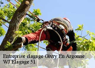 Entreprise élagage  givry-en-argonne-51330 WJ Elagage 51 