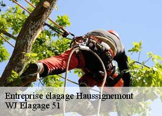 Entreprise élagage  haussignemont-51300 WJ Elagage 51 