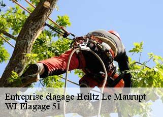Entreprise élagage  heiltz-le-maurupt-51340 WJ Elagage 51 