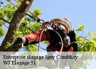 Entreprise élagage igny-comblizy-51700 WJ Elagage 51
