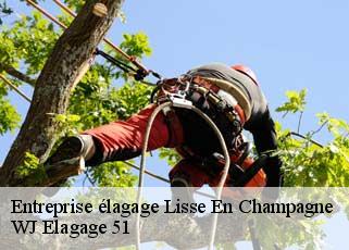 Entreprise élagage  lisse-en-champagne-51300 WJ Elagage 51 