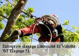 Entreprise élagage  luxemont-et-villotte-51300 WJ Elagage 51 