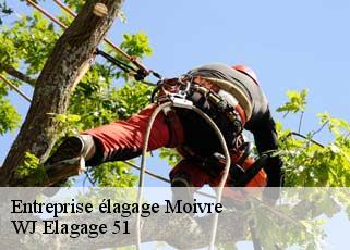 Entreprise élagage  moivre-51240 WJ Elagage 51 