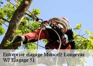 Entreprise élagage  moncetz-longevas-51470 WJ Elagage 51 