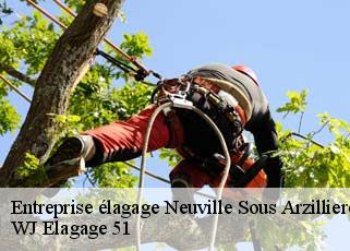 Entreprise élagage  neuville-sous-arzillieres-51290 WJ Elagage 51 