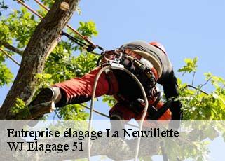 Entreprise élagage  la-neuvillette-51100 WJ Elagage 51 