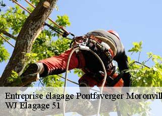 Entreprise élagage  pontfaverger-moronvilliers-51490 WJ Elagage 51 
