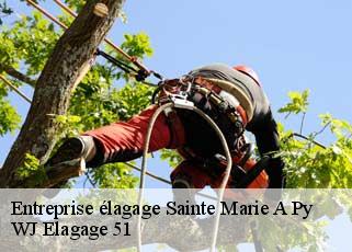 Entreprise élagage  sainte-marie-a-py-51600 WJ Elagage 51 