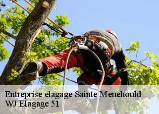 Entreprise élagage  sainte-menehould-51800 WJ Elagage 51 