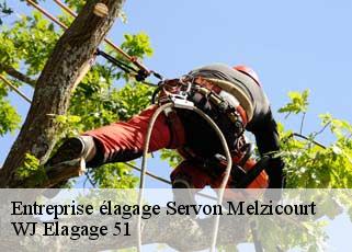 Entreprise élagage  servon-melzicourt-51800 WJ Elagage 51 