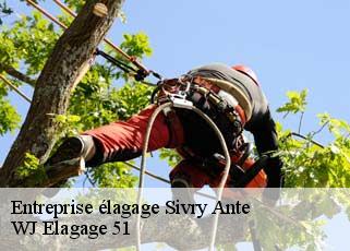 Entreprise élagage  sivry-ante-51800 WJ Elagage 51 