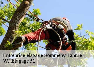 Entreprise élagage  sommepy-tahure-51600 WJ Elagage 51 