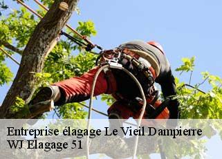 Entreprise élagage  le-vieil-dampierre-51330 WJ Elagage 51 