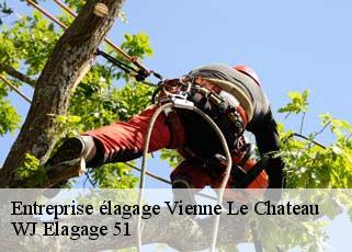 Entreprise élagage  vienne-le-chateau-51800 WJ Elagage 51 