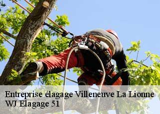 Entreprise élagage  villeneuve-la-lionne-51310 WJ Elagage 51 
