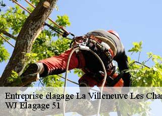 Entreprise élagage  la-villeneuve-les-charlev-51120 WJ Elagage 51 