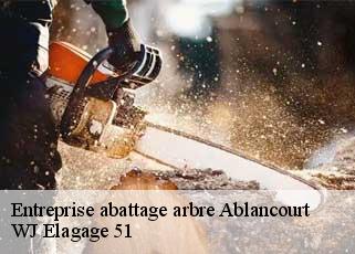 Entreprise abattage arbre  ablancourt-51240 WJ Elagage 51 
