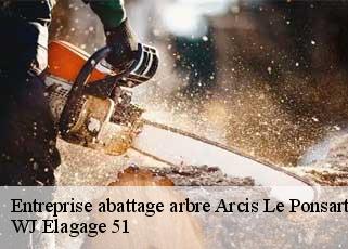 Entreprise abattage arbre  arcis-le-ponsart-51170 WJ Elagage 51 