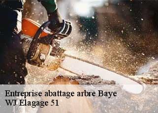 Entreprise abattage arbre  baye-51270 WJ Elagage 51 