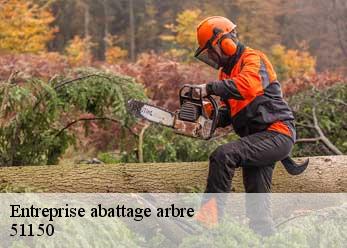 Entreprise abattage arbre 51150