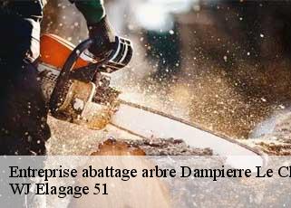 Entreprise abattage arbre  dampierre-le-chateau-51330 WJ Elagage 51 