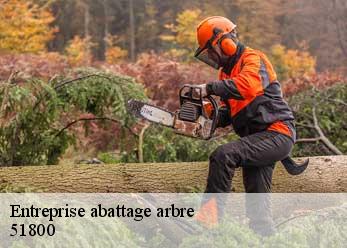 Entreprise abattage arbre 51800