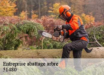 Entreprise abattage arbre 51480