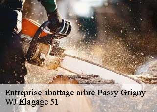 Entreprise abattage arbre  passy-grigny-51700 WJ Elagage 51 