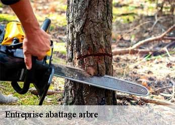 Entreprise abattage arbre