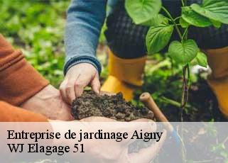 Entreprise de jardinage  aigny-51150 WJ Elagage 51 