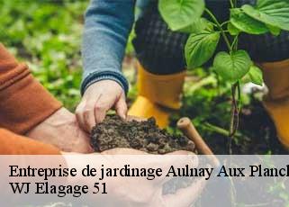 Entreprise de jardinage  aulnay-aux-planches-51130 WJ Elagage 51 