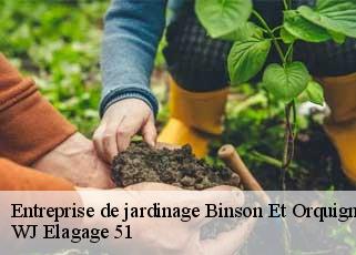 Entreprise de jardinage  binson-et-orquigny-51700 WJ Elagage 51 